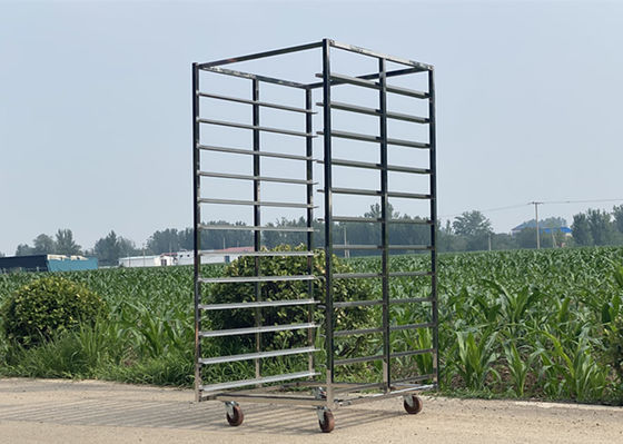 좋은 가격 300kg의 화물 용량을 가진 중량 304 스테인레스 스틸 랙 트롤리 온라인으로