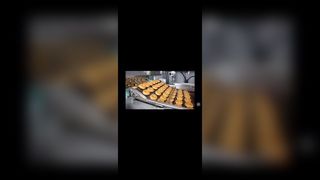 스테인리스 피자 오븐 사다리 체인 연결 컨베이어 초콜렛 enrobe를 위한 편평한 철망사 코드 벨트,