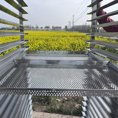 열 저항 뭉쳐 20 트레이 304 스테인레스 스틸 탈수기 마구 아나나스를위한 과일 건조 트롤